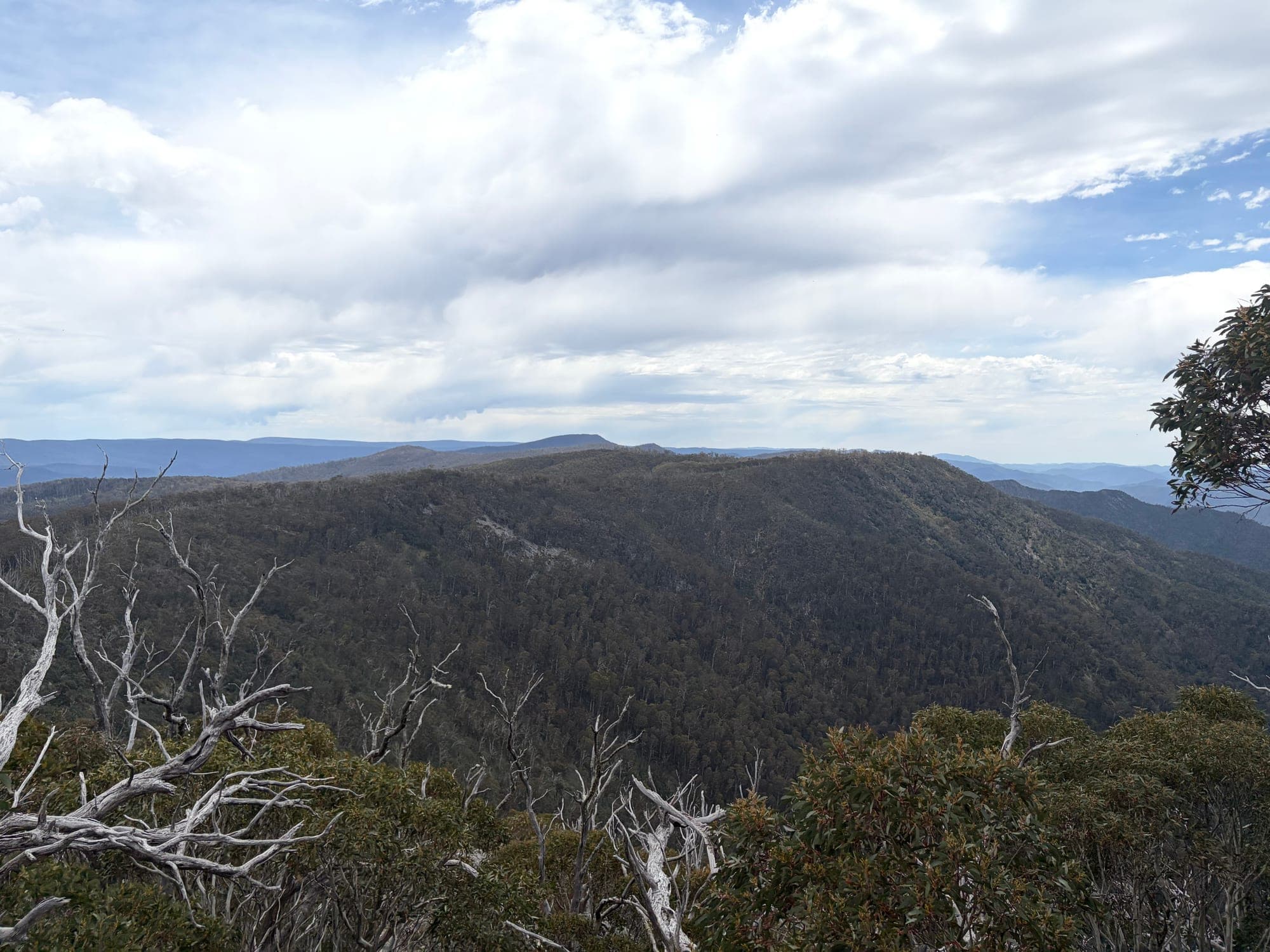 The Pinnacles